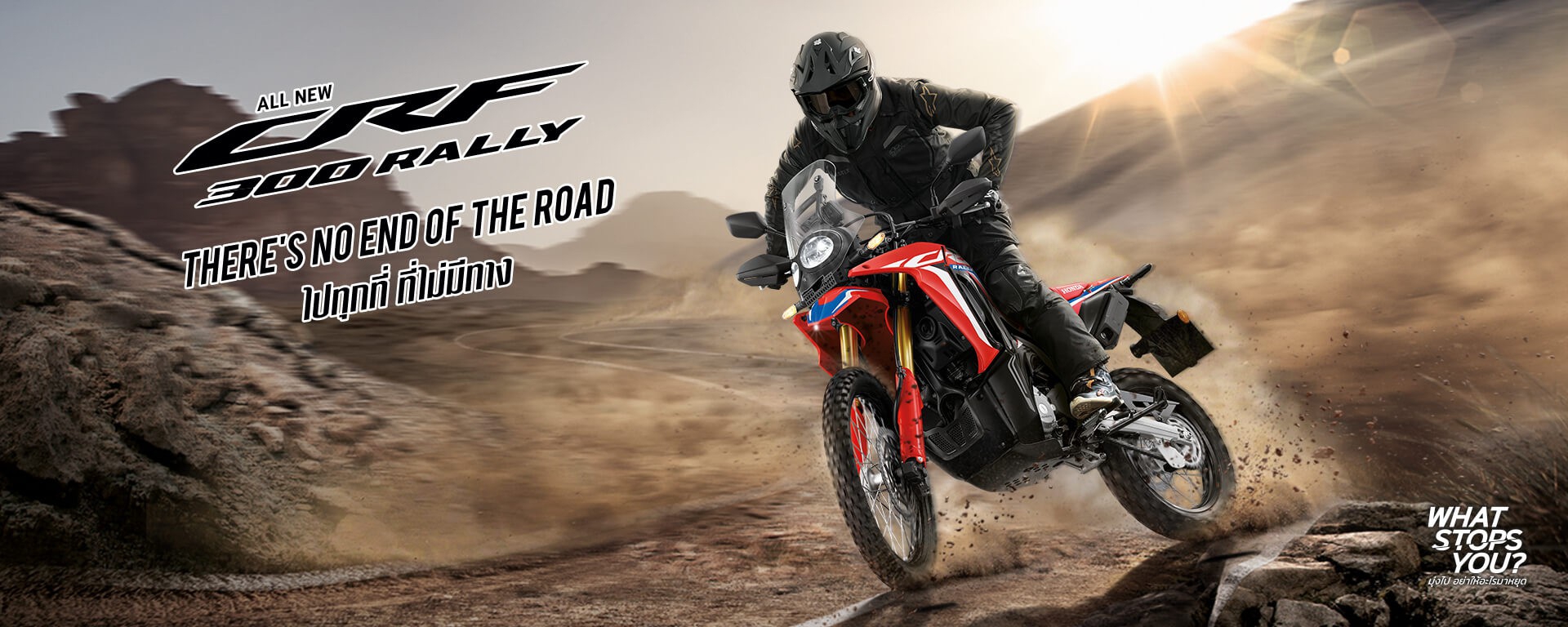 014-Desktop_productpage-banner_All-new-CRF300RALLY.jpg (613 KB)